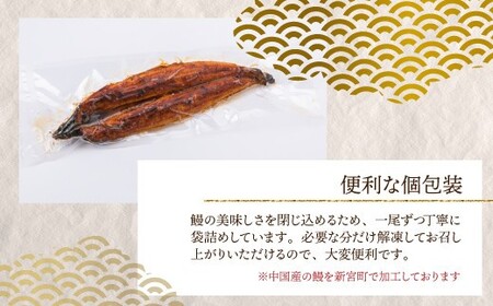 A1470.ジャンボうなぎの蒲焼２尾（計１，０００ｇ前後）『１～２ヶ月前後でお届け！！』