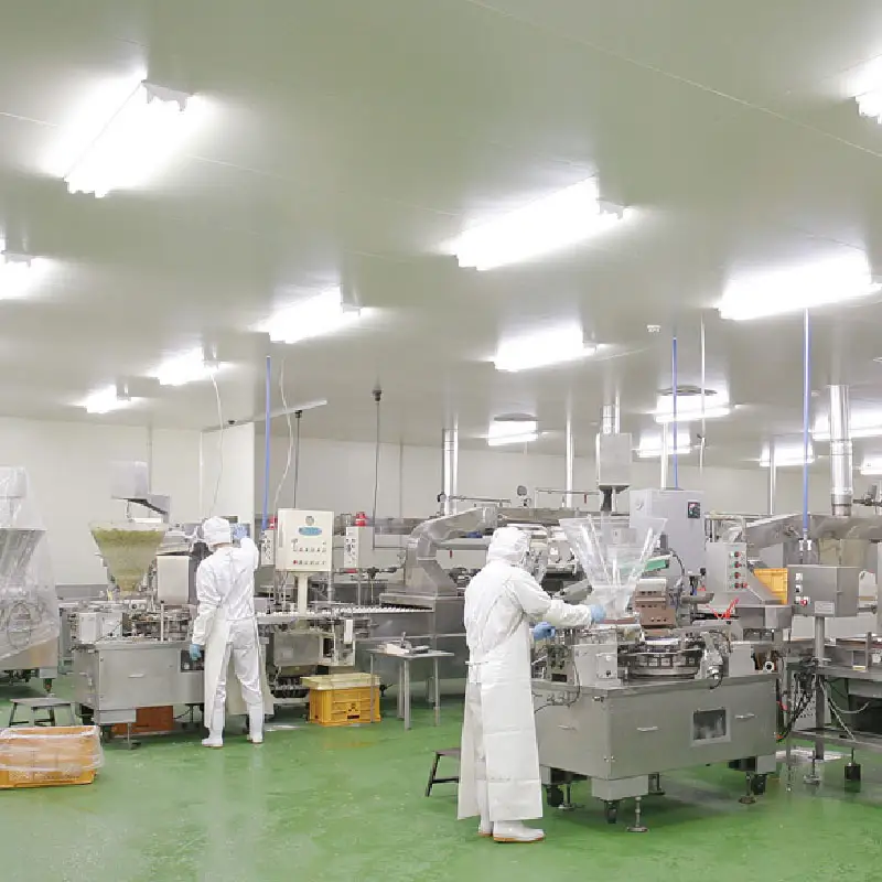 【長崎名物】 長崎 豚角煮まんじゅう 計8個 E404