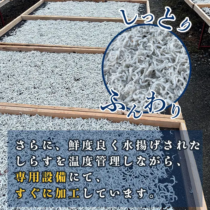474 しらす干し 700g (350g×2袋) 【茨城県共通返礼品/北茨城市】