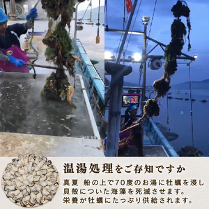 訳あり 春っこ牡蠣 1kg 加熱用 牡蠣