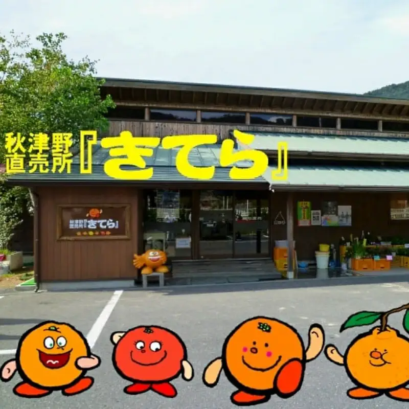 季節毎の柑橘ジュース500ml×12本セット / 和歌山 和歌山県産 田辺市 温州みかん 不知火 デコポン バレンシアオレンジ みかんジュース 100％ジュース オレンジジュース【ktr016-2】
