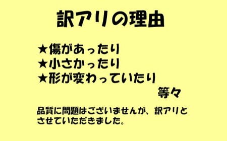 【訳アリ】【朝どれ】 鹿児島県産ナス 5kg 季節限定 農家直送 鹿児島県産 【2026年7月上旬から9月下旬発送予定】 ZS-9107