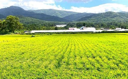 おぼろづき 産直 精米 北海道産 おぼろづき【5kg】