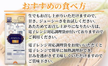 【先行受付  2026年発送】ふらのホワイトコーン 計 4.2kg 以上 (12～14本入) 白 とうもろこし ホワイトクリスピー 野菜 北海道 富良野 ふらの ギフト 長沢農園