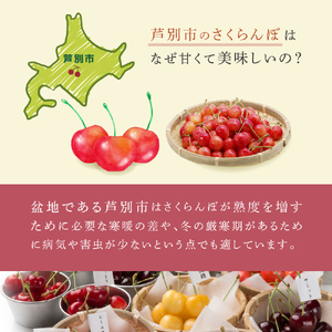 先行受付 さくらんぼ 月山錦 1kg 500g×2パック 農林水産大臣賞