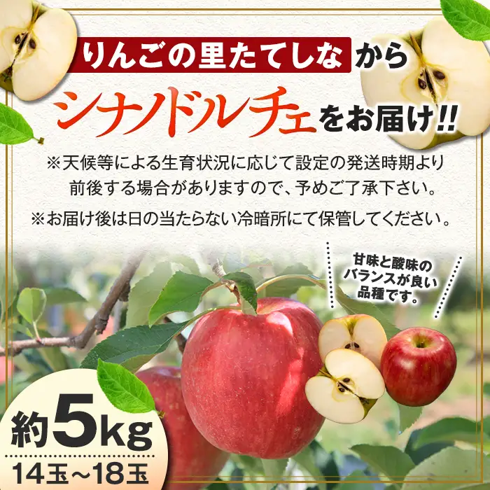 シナノドルチェ（約5kg、優14～18玉）