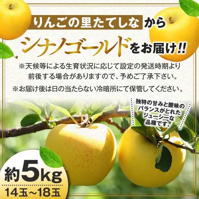 シナノゴールド（約5kg、優14～18玉）