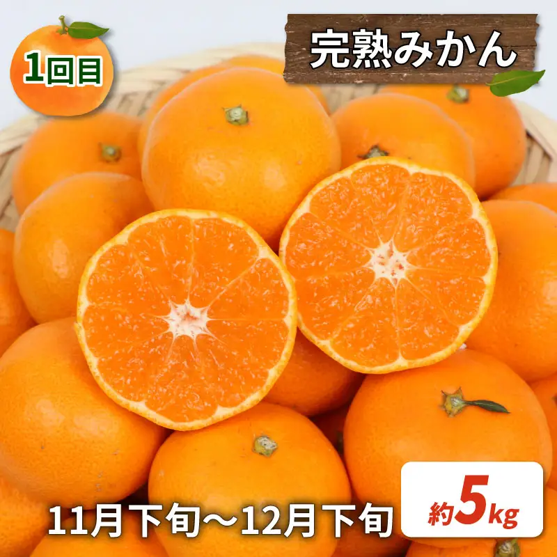訳あり 柑橘定期便 全3回 杉本屋  不知火 デコポン ( デコポン と同品種) 完熟みかん ポンカン B030-143013