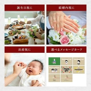 【国産スモーク魚セット】スモークサーモン160g×2枚 香燻鮎3尾 高級ギフト 産地直送 天然仕立て おつまみ 高級 ※沖縄・離島への配送不可