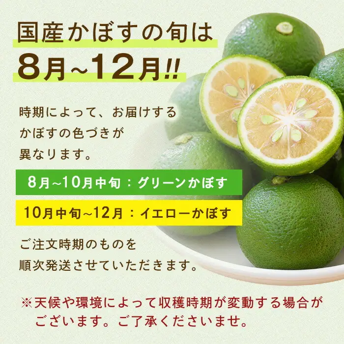 ＜先行予約受付中！2026年8月上旬以降順次発送予定＞かぼす(15kg)柑橘 かんきつ 大分県産直 期間限定【112600300】【ａｎｄＫ】