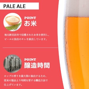 新居浜初 クラフトビール ヒメビール 2種飲み比べ セット 330ml×6本 Niihama Beverage 愛媛果汁食品