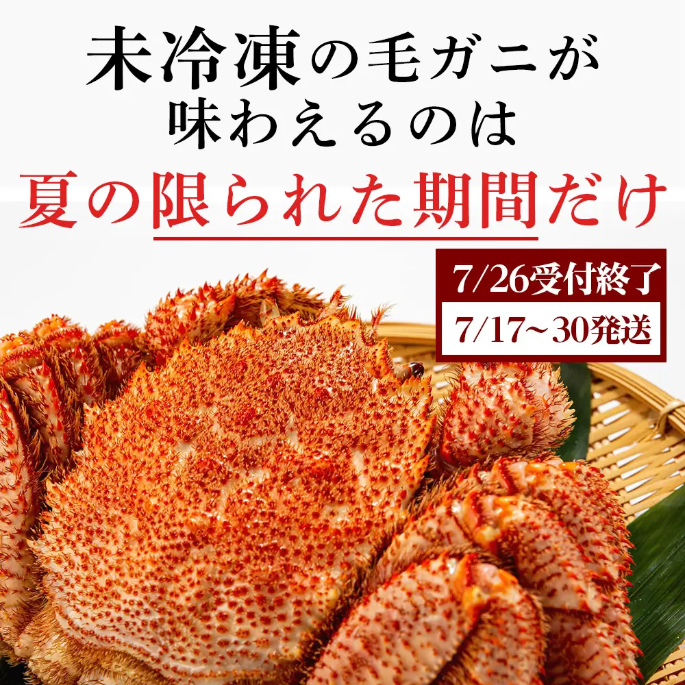 ★期間限定★ 浜ゆで！毛ガニ 約400g～450g×3尾 チルド配送 7/17~7/30発送【斉藤水産】 AM101