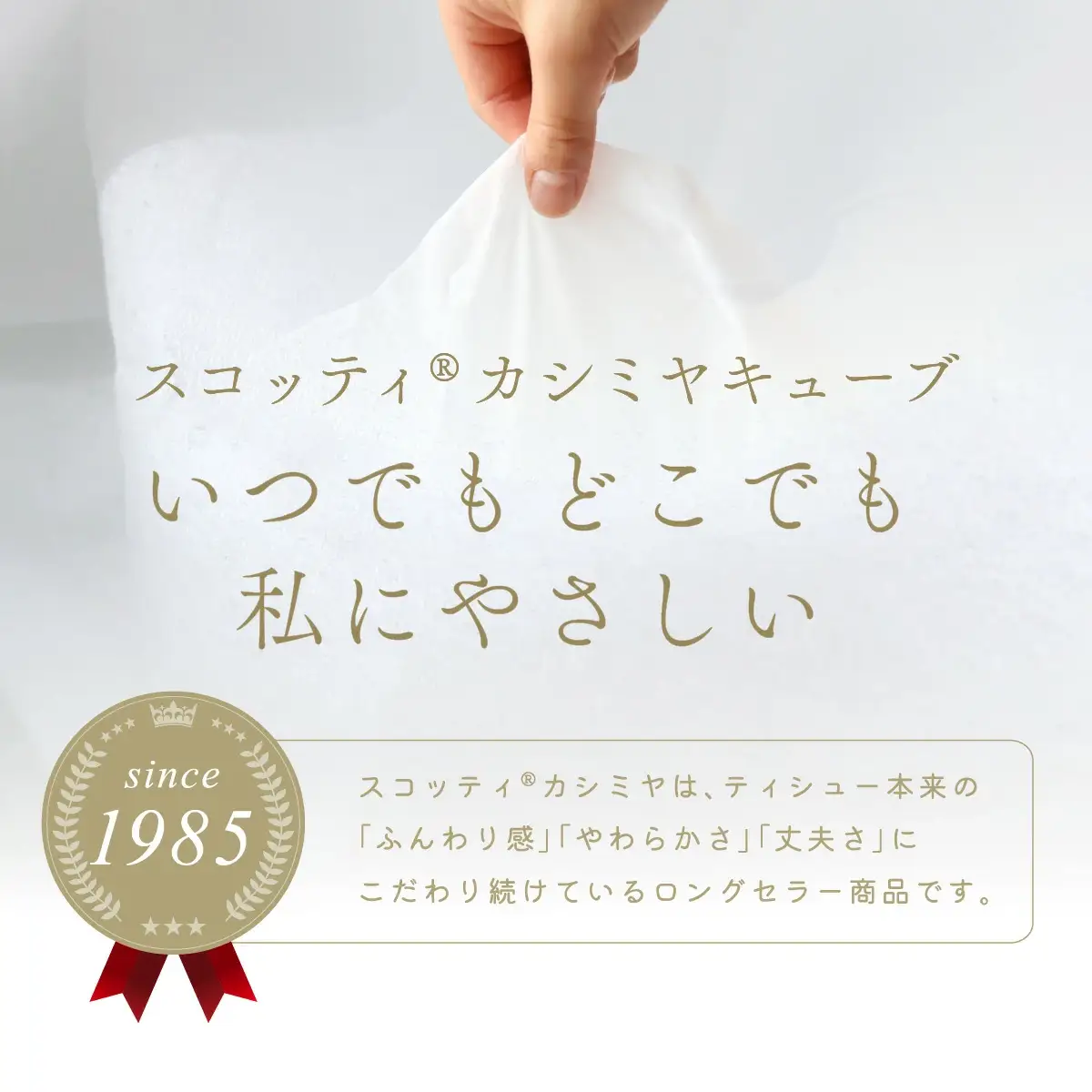 【ティッシュ】スコッティ カシミヤ キューブ 80組(1箱)×12箱
