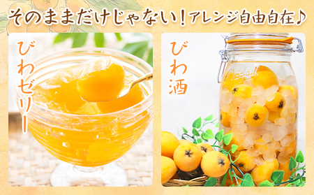 天草産 びわ 6パック 贈答用 |高橋商店【配送不可地域あり】(北海道 沖縄 離島)