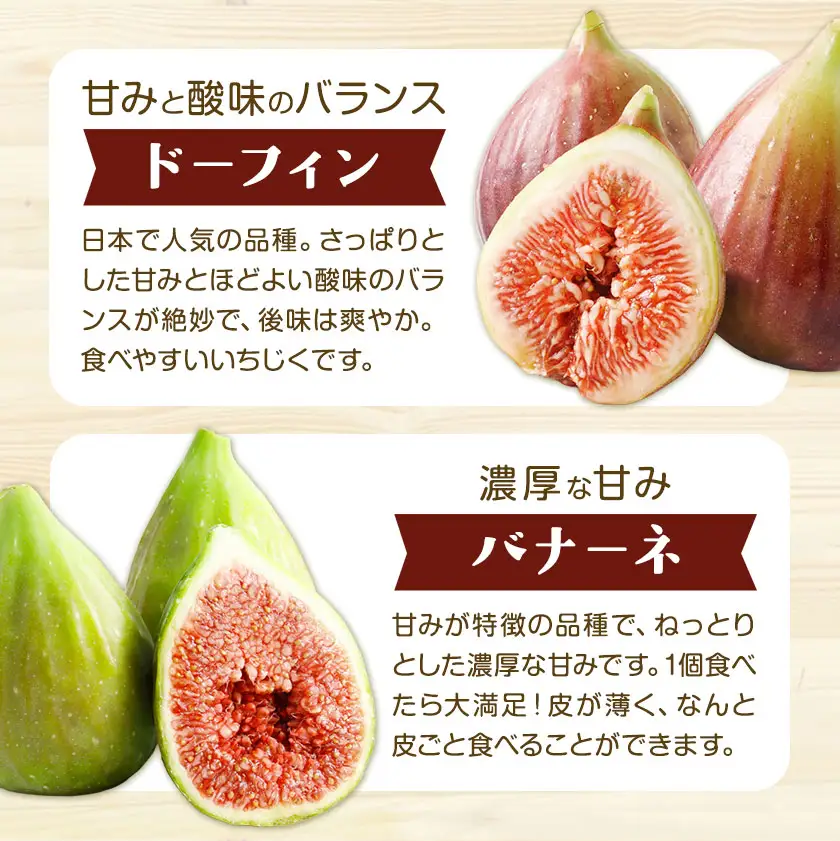 完熟いちじく ミナクルファーム 食べ比べ　フルーツ 果物 くだもの いちじく イチジク 無花果 完熟 《2026年8月中旬-9月末頃出荷》熊本県 苓北町