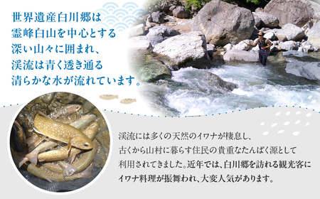 先行予約 6月以降順次発送 白川村産 天然岩魚 イワナ 3尾 18cm以上 岩魚 天然 いわな イワナ 魚 川魚 BBQ バーベキュー アウトドア 岐阜県 白川郷 世界遺産 塩焼き 6000円 [S801]