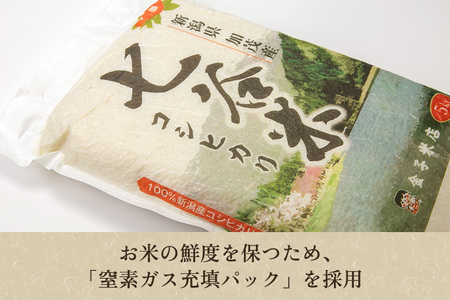 【令和7年産】【定期便5ヶ月毎月お届け】老舗米穀店が厳選 新潟県加茂市産コシヒカリ「七谷米」精米25kg（5kg×5）〈順次出荷〉 従来品種 金子米店