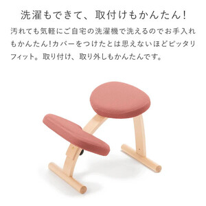 バランスイージー専用はっ水カバー（クラシックブルー）ドットワッフル【 チェアカバー 椅子カバー チェアカバー 椅子カバー チェアカバー 椅子カバー チェアカバー 椅子カバー 】