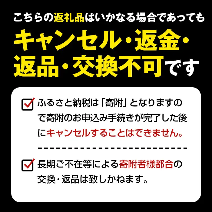 吸水マット （バスマット） テルシード No.253