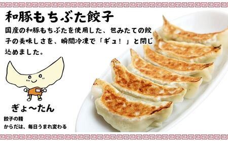 もちぶた餃子 炒飯 中華セット 【中華】