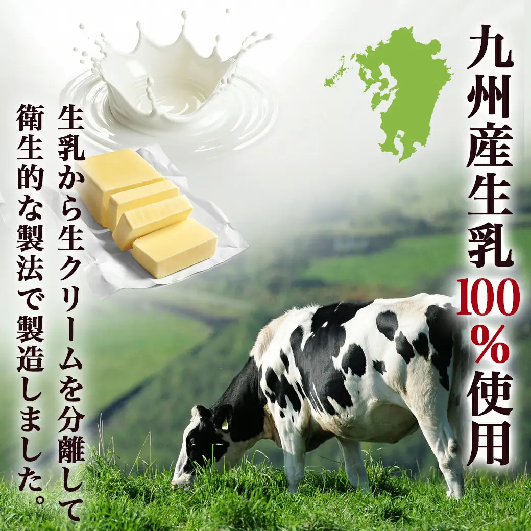高千穂バター8個セット〔16-2301〕_(都城市) 高千穂バター 九州産生乳 有塩タイプ 爽やか スッキリ トースト 料理 お菓子づくり 熟練の職人 風味豊か とろける ジュワー 南日本酪農