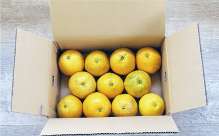 訳あり 河内晩柑 3.5kg 5000円 （発送期間: 4月中旬～） みかん かわちばんかん 愛南ゴールド 美生柑 文旦 グレープフルーツ 和製 家庭用  産地直送 国産 農家直送 お試し 少量 試供品 糖度 果樹園 期間限定 数量限定 特産品 ゼリー ジュース 人気 限定 さわやか 甘い おいしい フルーツ 果物 柑橘 蜜柑 規格外 愛媛県 愛南町 マルハラファーム 河内晩柑 みかん 愛南ゴールド 河内晩柑 みかん 愛南ゴールド 河内晩柑 みかん 愛南ゴールド 河内晩柑 みかん 愛南ゴールド 河内晩柑 みかん 愛南ゴールド 河内晩柑 みかん 愛南ゴールド 河内晩柑 みかん 愛南ゴールド 河内晩柑 みかん 愛南ゴールド 河内晩柑 みかん 愛南ゴールド 河内晩柑 みかん 愛南ゴールド 河内晩柑 みかん 愛南ゴールド 河内晩柑 みかん 愛南ゴールド 河内晩柑 みかん 愛南ゴールド 河内晩柑