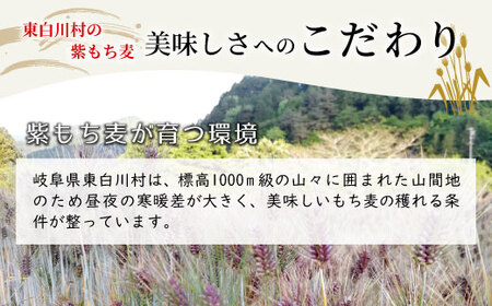【令和7年度産】 東白川村産 紫もち麦 ダイシモチ 150g×2袋 計300g お米 こめ もち麦 雑穀 精米 ご飯 お取り寄せ
