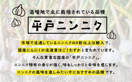≪先行予約≫ 訳あり 渥美半島産　ニンニク （生）１ｋｇ 簡易包装 にんにく 国産にんにく 平戸にんにく 愛知県 田原市