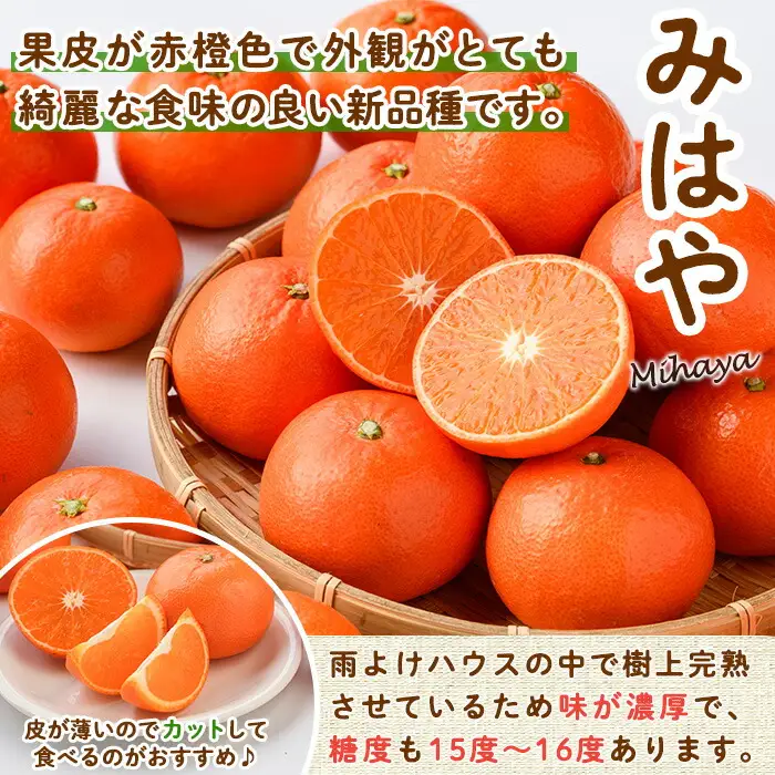 ＜先行予約受付中！2027年1月中旬から2月中旬の間に順次発送予定＞みはや(約5kg)みはや(約5kg)ハウス 樹成 完熟みかん 蜜柑 柑橘 かんきつ フルーツ 果物 くだもの【111600100】【永木農園】