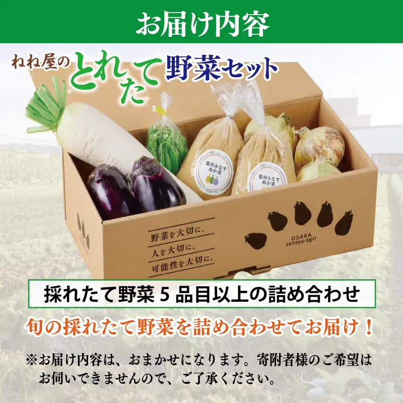 ねね屋のとれたて野菜セット 5品目以上 詰め合わせ