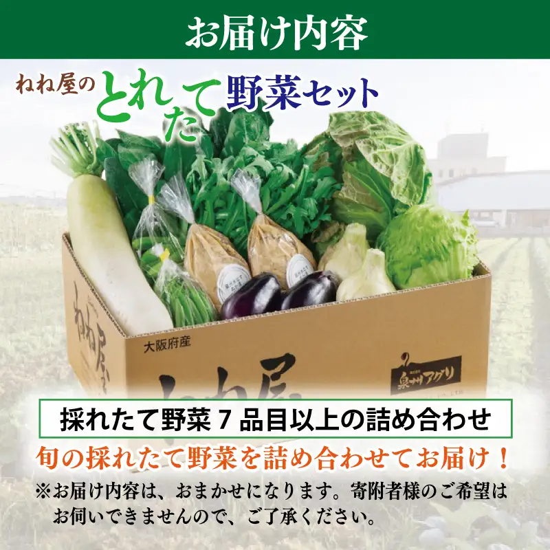 ねね屋のとれたて野菜セット 7品目以上 詰め合わせ