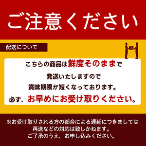 【配送不可地域:北海道・東北・沖縄県・離島】オリーブあわび 約500g(5個入り前後)