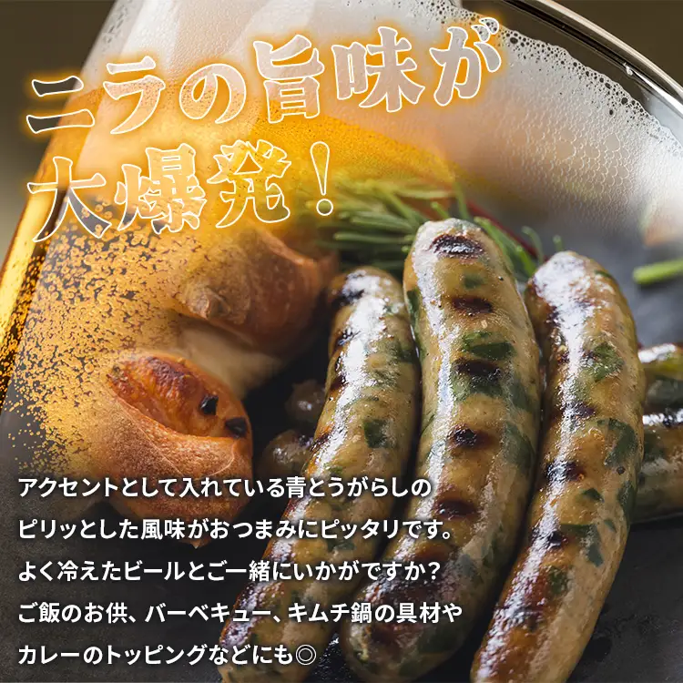 生産量日本一のニラソーセージ 2袋 合計10本 - ウィンナー ウインナー 惣菜 加工品 にら 韮 香味野菜 やさい 葉物 国産 おつまみ おかず 鍋 ご飯のお供 バーベキュー ギフト 高知県 香南市 on-0020