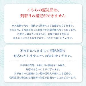 10月中旬以降発送 幻の天然ゾウリエビ 1kg 先行受付10月下旬以降 サイズおまかせ【幻の天然ゾウリエビ】【R00620】 
