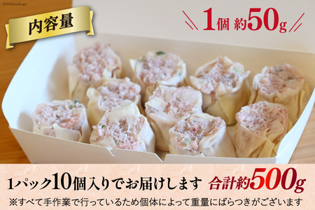 AH163 職人の手包み 自家製 ジャンボ 焼売 10個 