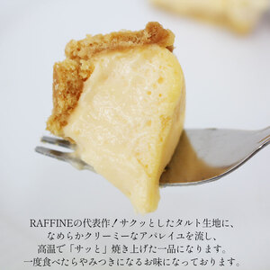 半生チーズ　ケーキ 15個入