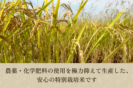 【令和8年産新米先行予約】新潟県 加茂市産 特別栽培米コシヒカリ 玄米2kg《10月上旬～順次出荷》 （株）ライスグローワーズ
