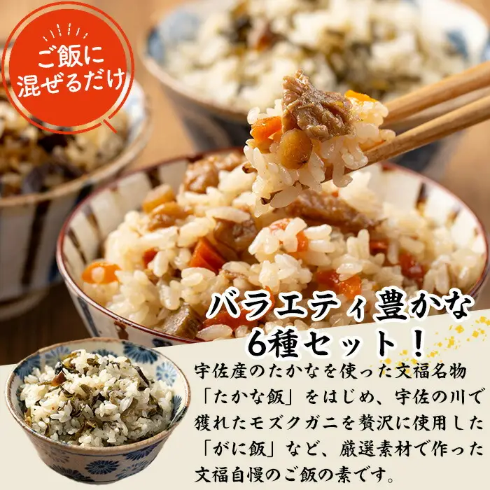 宇佐おいしいご飯の素セット(6種×各2袋)ご飯の素 混ぜご飯 簡単 時短 おにぎり お弁当 郷土料理 食べ比べ セット 勝負めし【102200201】【観光館　文福】