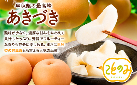 梨 梨 秀品 荒尾梨 「ことのみ」 あきづき  約3.5～4kg 《9月上旬-9月中旬頃出荷》 JAたまな荒尾梨部会 梨  