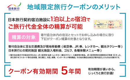 クーポン 地域限定旅行クーポン【15,000円分】日本旅行 《寄付翌月を目途に付与いたします》 熊本県 荒尾市 旅行 トラベル 熊本 旅行券 チケット 観光 クーポン 紙券 