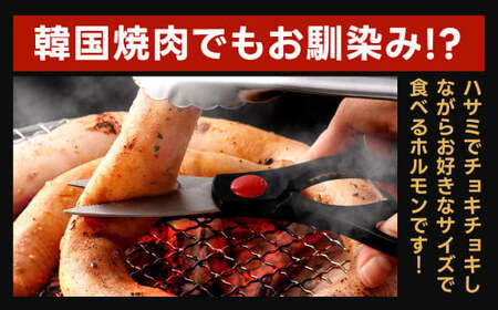 1本焼き たれ漬け 極太 ほるもん 太腸版 新鮮 ホルモン たれ タレ モツ もつ 牛モツ 牛もつ ぷりぷり 旨味 黒毛和牛 丸腸 真空パック 国産 九州産 冷凍