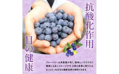フルーツ王国余市産 冷凍ブルーベリー 1kg【ニトリ観光果樹園】_Y074-0149