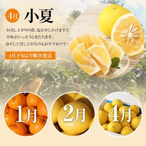 【令和８年発送】 オレンジ園の柑橘3種（ぽんかん・文旦・小夏）各5kg 3回定期便 【J00104】