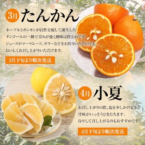 【令和８年発送】＜ 訳あり＞ オレンジ園の柑橘4種（ぽんかん・文旦・タンカン・小夏）各5kg 4回定期便【J00100】