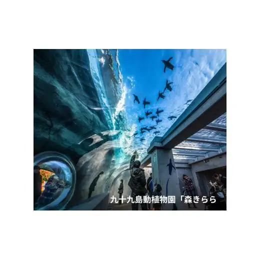 海きらら･森きらら入場引換券(大人2名･子ども2名)