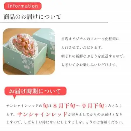 2026年発送【数量限定】山梨県産 希少品種「サンシャインレッド」1房 約500～600g 化粧箱入【配送不可地域：離島・沖縄県】【1515303】