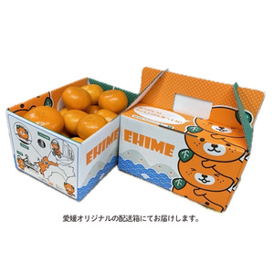 訳あり 家庭用 せとか 約3kg みかん【HYN0013】