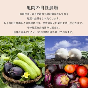 漬物 京つけものもり お試し6種 漬物