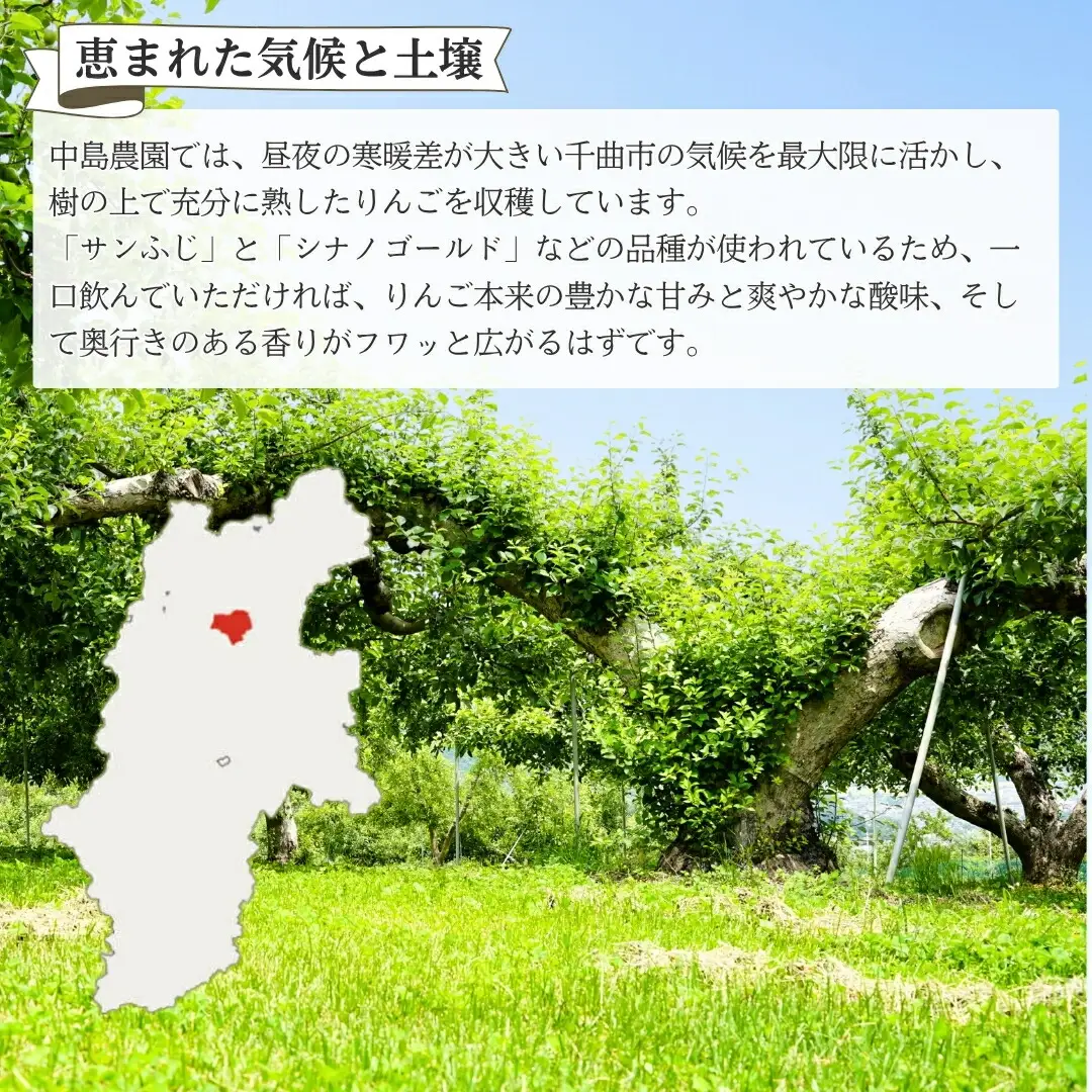 りんご ジュース(サンふじとシナノゴールド) 1L×6本 |りんごジュース
