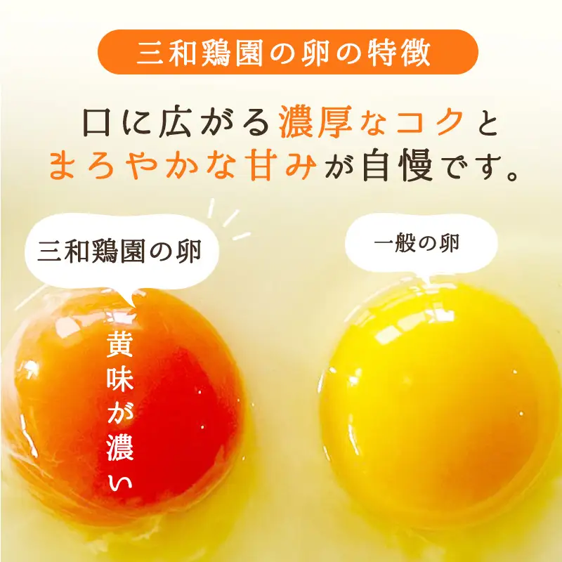【定期便6か月】 卵 赤たまご 720個 ： 120個×6回 たまご 【配送不可地域：北海道、沖縄、離島】